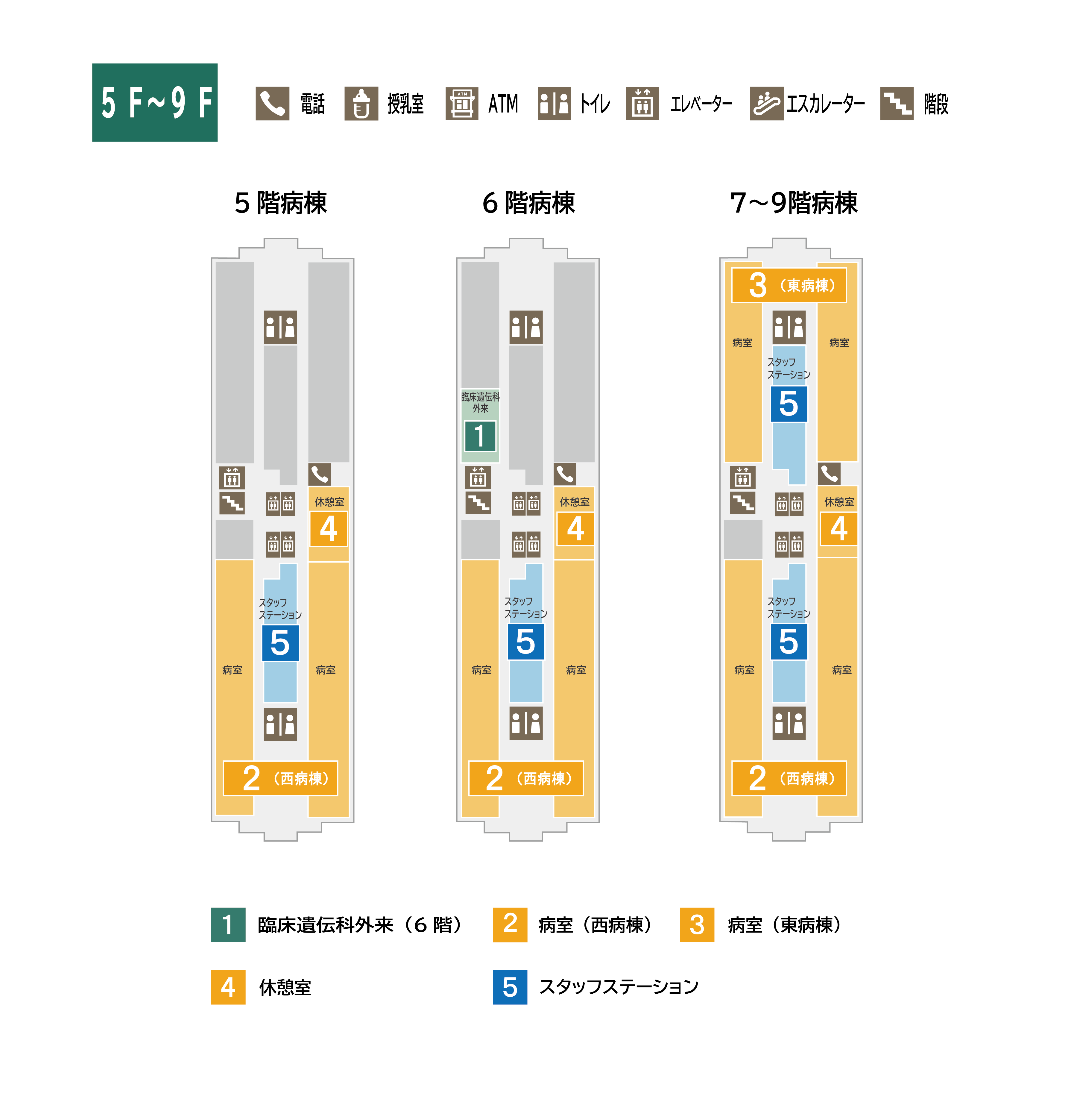 青森県立中央病院 5-9階 フロアマップ