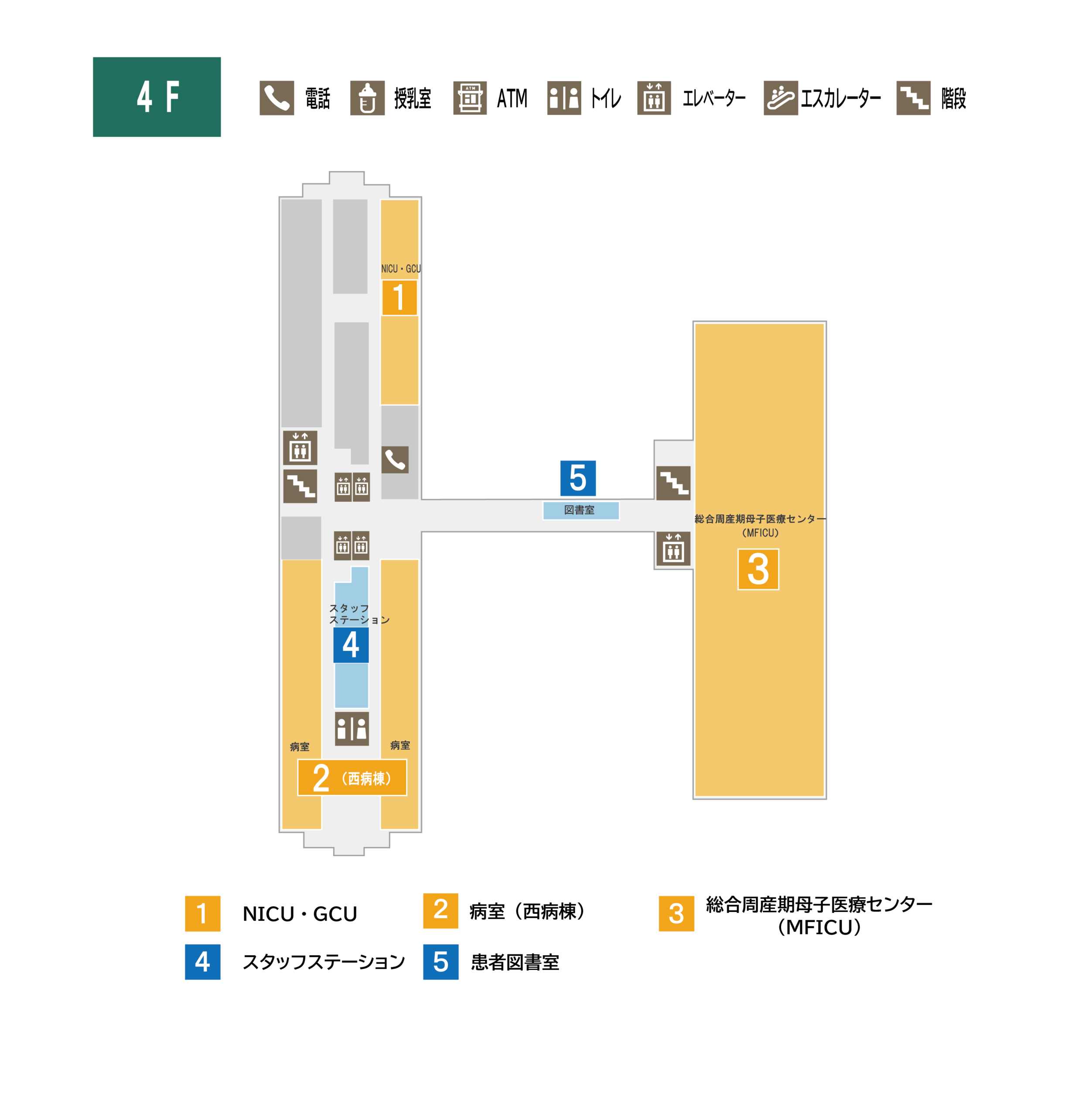 青森県立中央病院 4階 フロアマップ