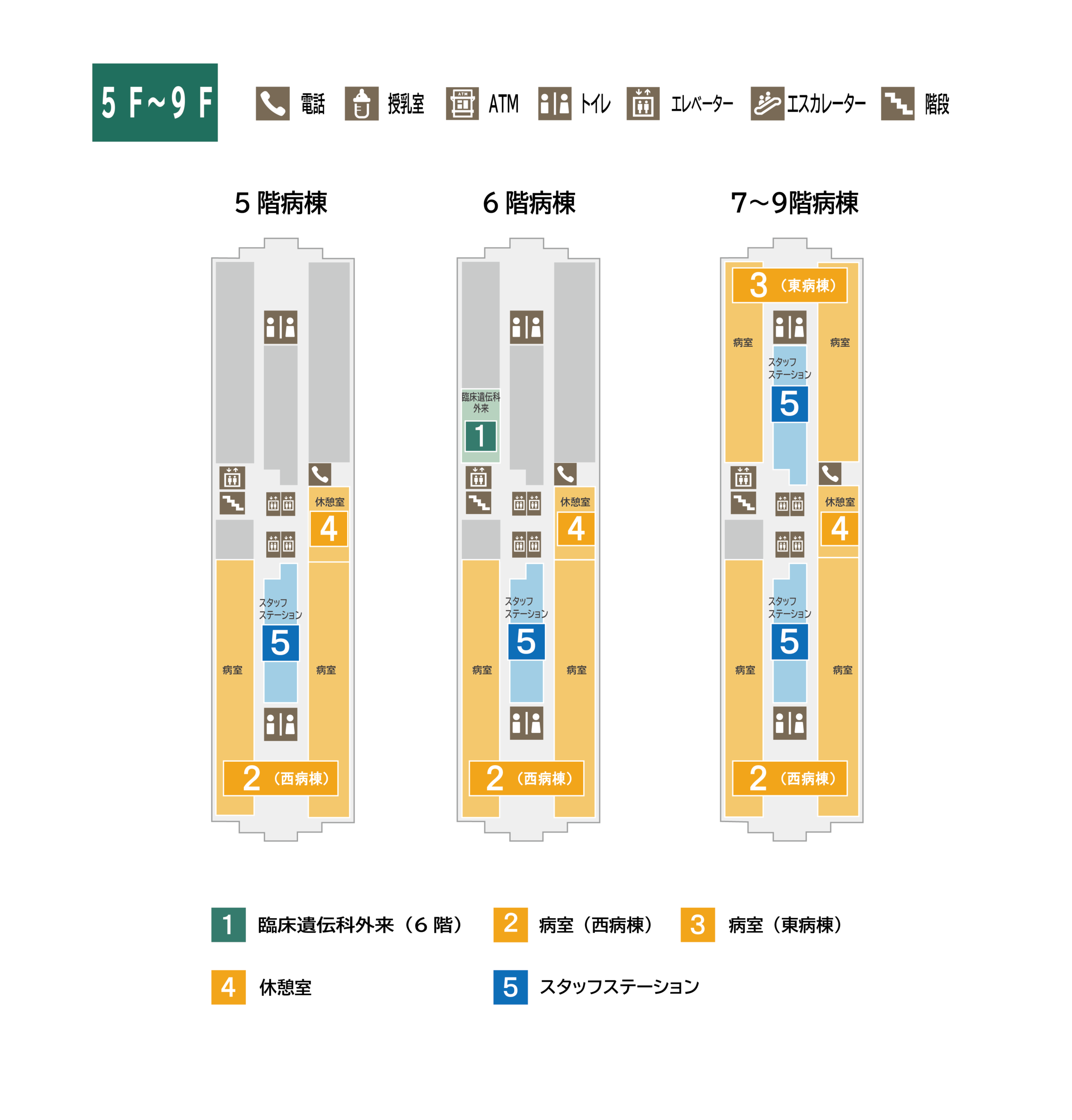 青森県立中央病院 5-9階 フロアマップ