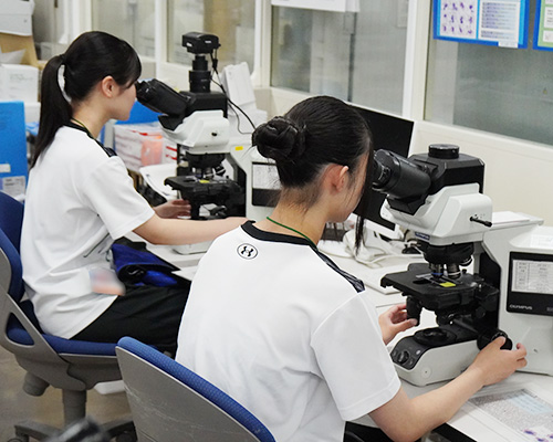 臨床検査体験ラボセミナー 血液細胞観察体験1