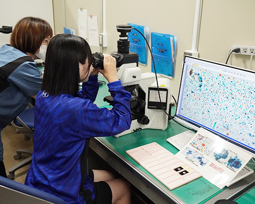 臨床検査体験ラボセミナー 病理標本鏡検体験2